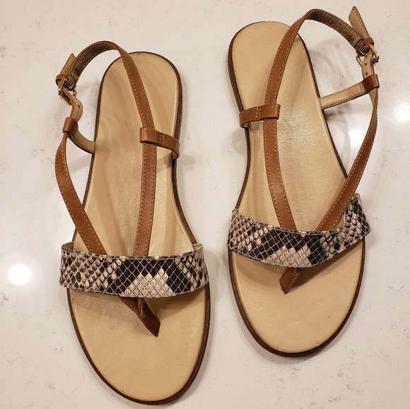 Via Spiga Shoes - Via Spiga | Snakeskin Genuine Leather Sandals 7